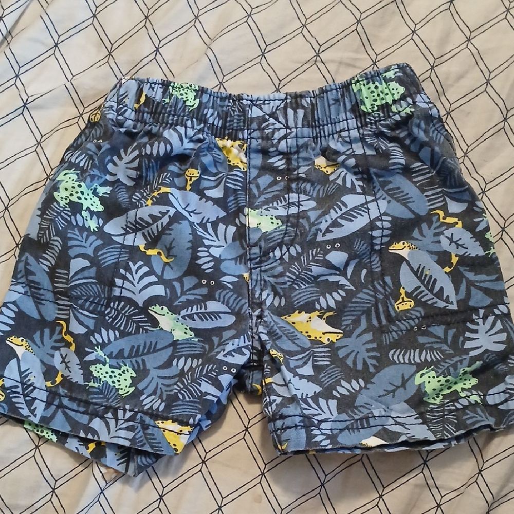 Carter's Tropical Frog Pull On Boy Shorts 18M